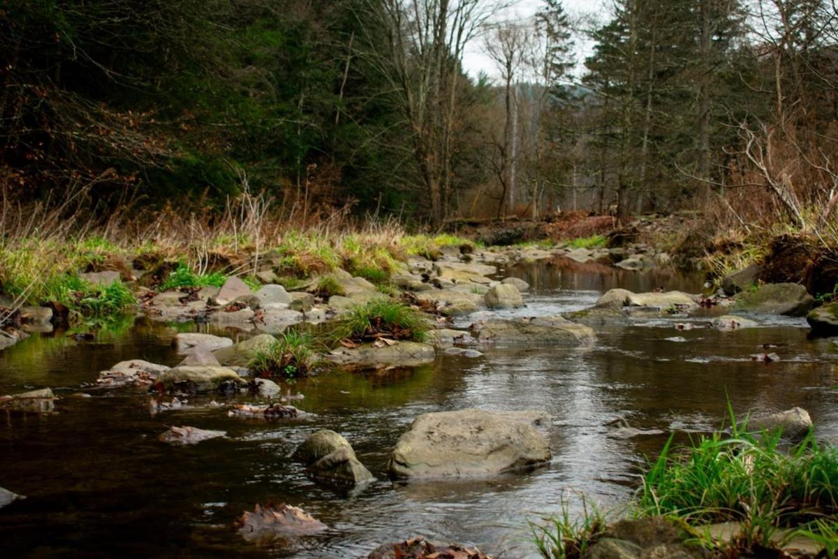 Creekside